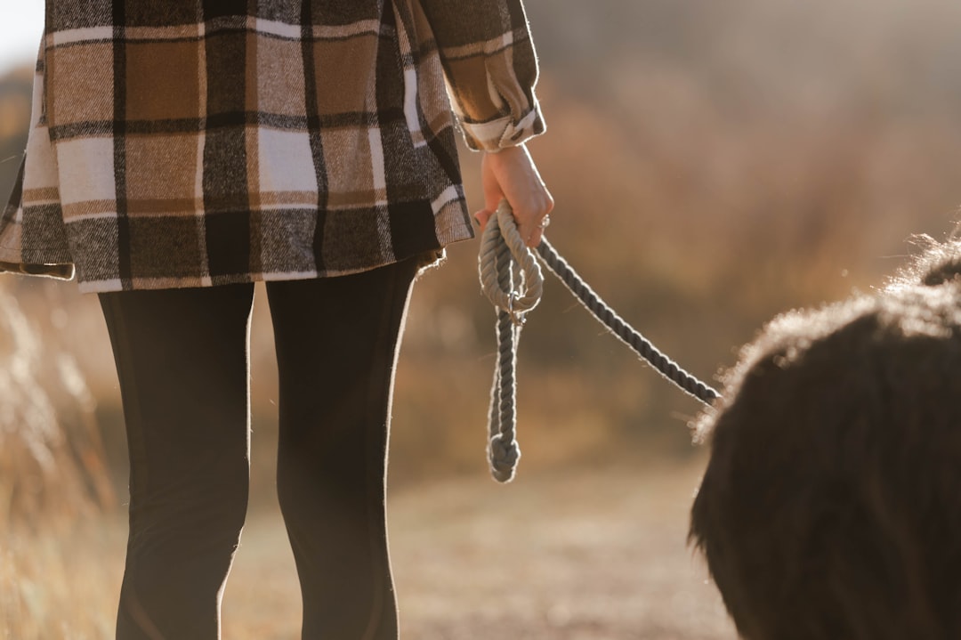 découvrez les avantages d'une longe pour chiens (long leash) : promenade sécurisée, meilleure liberté de mouvement et conseils pour choisir la laisse longue idéale selon la taille et le caractère de votre animal.