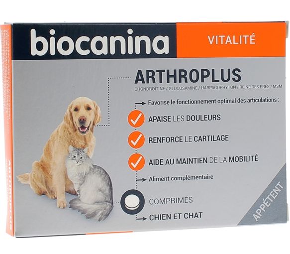 découvrez des remèdes efficaces et naturels pour soulager l’arthrose chez le chien. conseils vétérinaires, traitements adaptés et astuces pour améliorer le bien-être de votre animal.