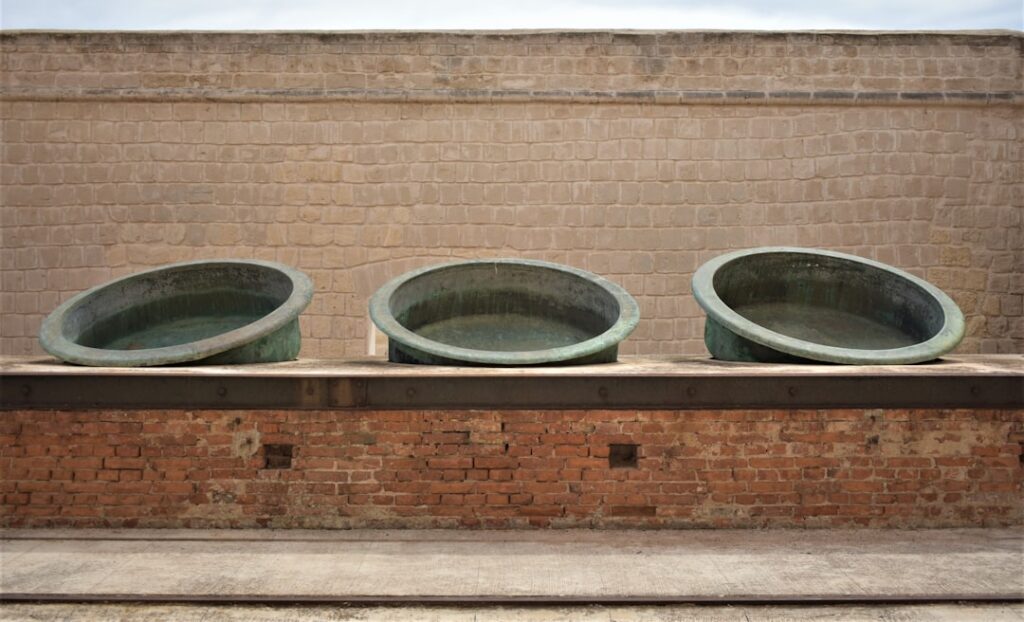 découvrez les avantages des elevated bowls pour animaux : une solution pratique et élégante pour améliorer le confort de votre chien ou chat lors des repas, tout en préservant leur santé.