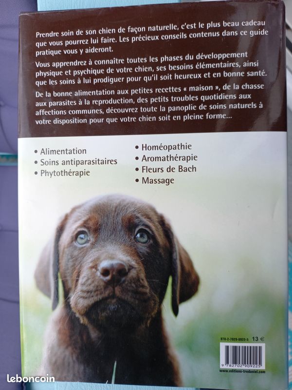 découvrez les meilleurs remèdes naturels pour prendre soin de la santé et du bien-être de votre chien. solutions douces, efficaces et adaptées à votre animal de compagnie !