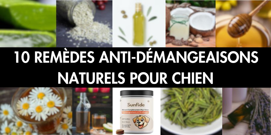découvrez des remèdes naturels efficaces et sécuritaires pour prendre soin de la santé de votre chien. conseils, astuces et solutions naturelles pour améliorer le bien-être de votre compagnon à quatre pattes.
