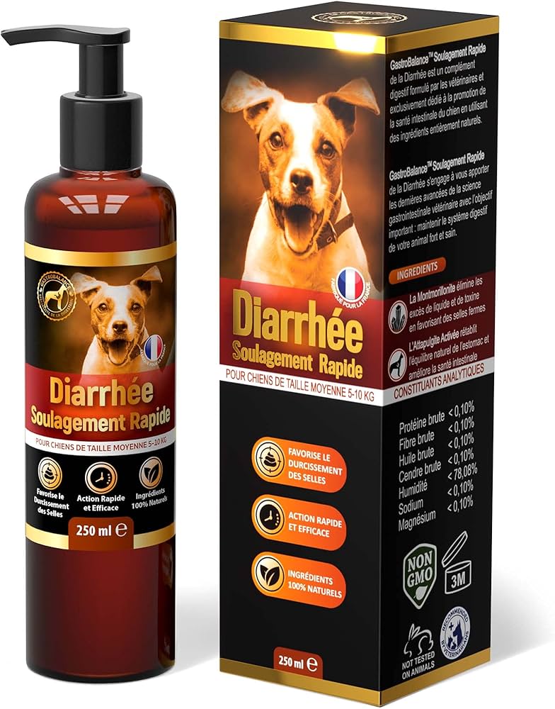 découvrez des remèdes naturels efficaces pour soigner la diarrhée de votre chien. conseils, traitements maison et astuces pour aider votre animal à retrouver la santé rapidement.