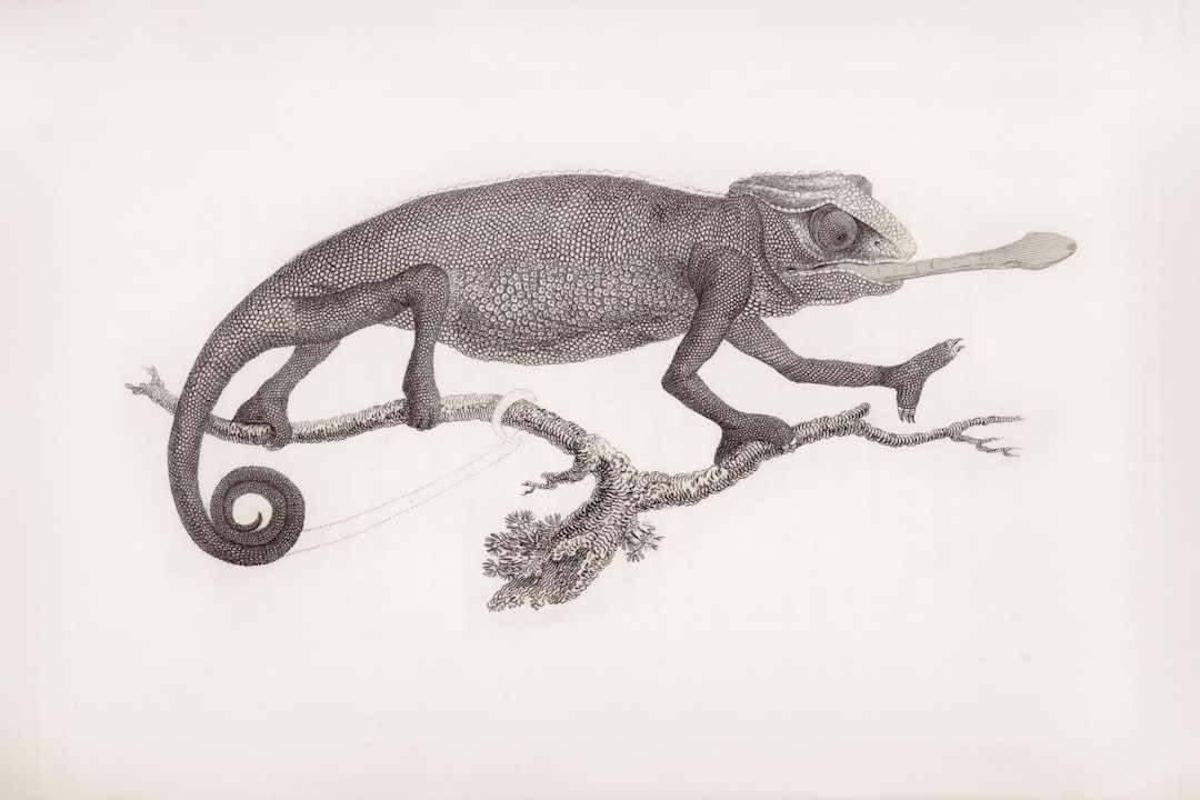 découvrez torquatus : histoire, origines et signification de ce nom latin emblématique, souvent associé à la noblesse romaine et à des figures historiques célèbres.