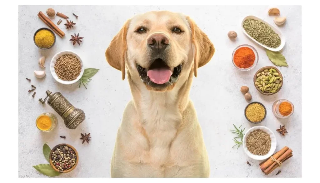 découvrez pourquoi votre chien vomit du sang ou de l'herbe, les causes possibles, les signes à surveiller et les conseils pour réagir face à ces symptômes inquiétants.