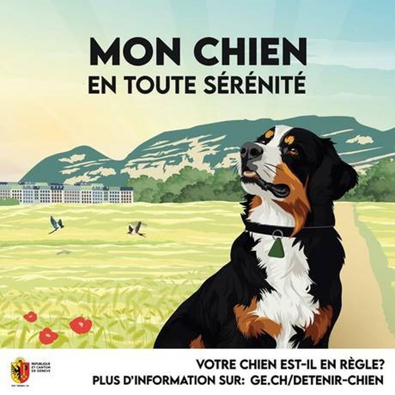 découvrez les meilleurs antibiotiques naturels pour chiens en 2025, des solutions efficaces et sûres pour la santé de votre compagnon à quatre pattes.