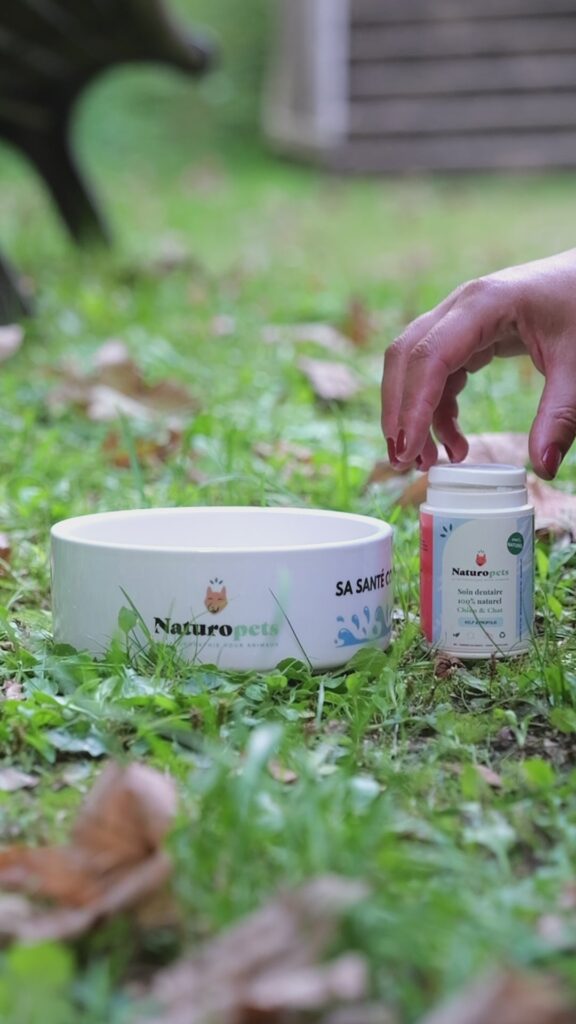 découvrez quels antibiotiques naturels sont efficaces pour traiter la gingivite chez le chien, des solutions naturelles pour soulager l'inflammation et favoriser la santé bucco-dentaire de votre animal.