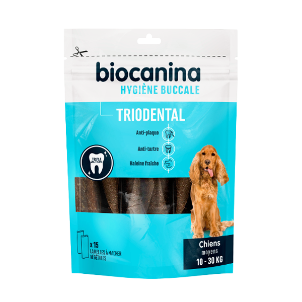 découvrez des solutions naturelles pour traiter la gingivite chez le chien avec des antibiotiques naturels. conseils, remèdes, et précautions pour la santé bucco-dentaire de votre compagnon.
