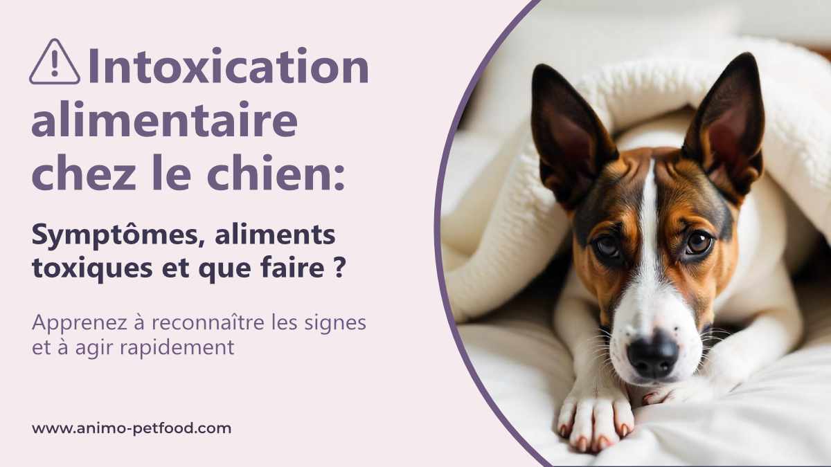 découvrez les causes des gaz chez le chien et les solutions efficaces pour les prévenir et les traiter, afin d'assurer le bien-être de votre compagnon.