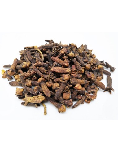 découvrez les risques et précautions liés à l'exposition des chats au clou de girofle en 2025 pour assurer la sécurité de votre animal domestique.