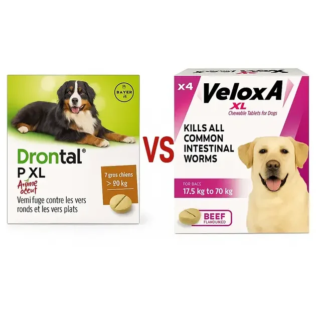 découvrez l'efficacité de l'ail comme vermifuge naturel pour chien en 2025. conseils et précautions pour protéger votre animal de manière saine et naturelle.