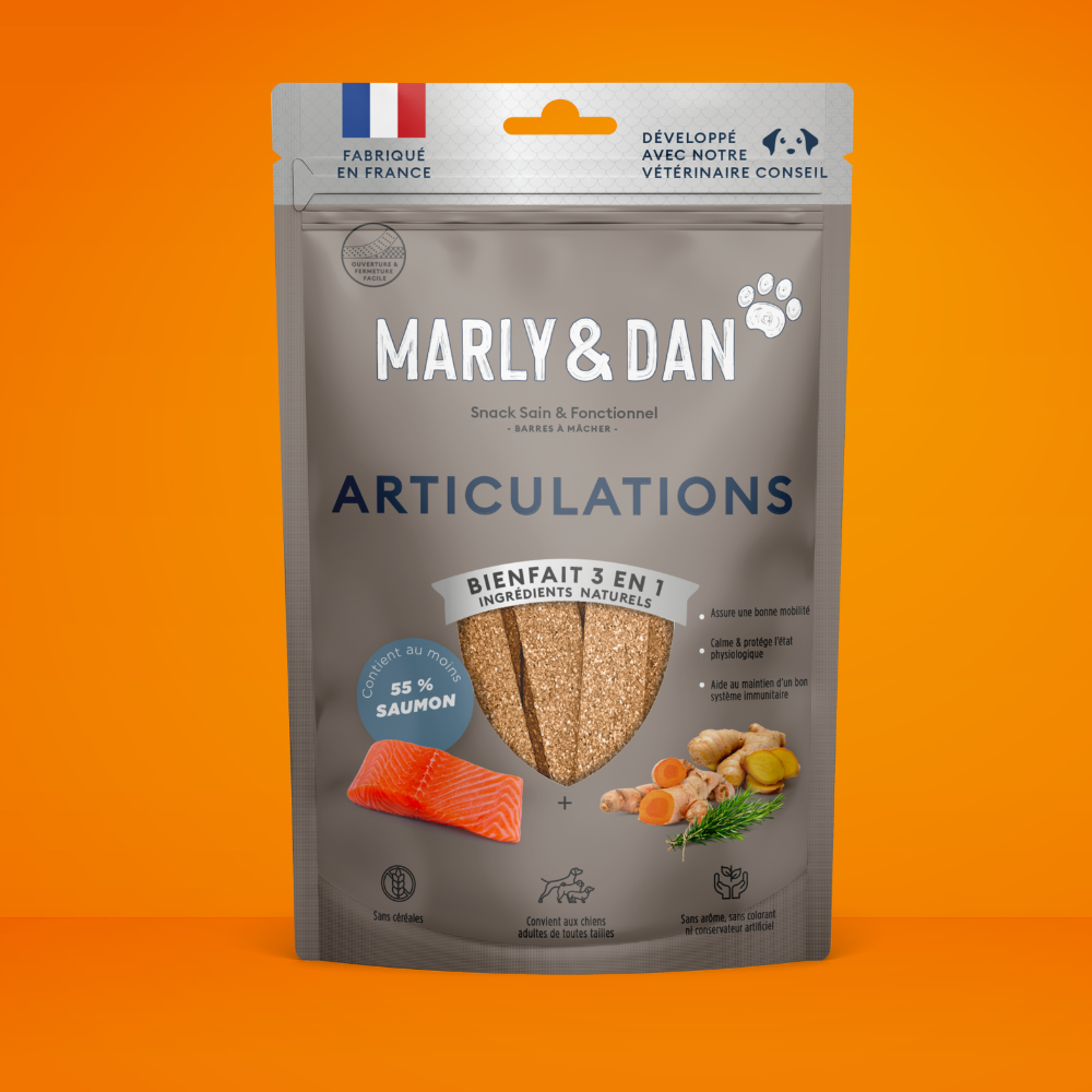 découvrez les solutions naturelles efficaces pour traiter la gingivite chez le chien en 2025 et améliorer la santé bucco-dentaire de votre compagnon.