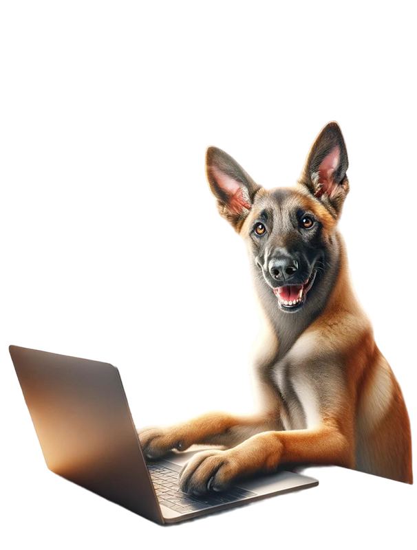 découvrez les précautions essentielles pour garantir la sécurité de votre chien face à l'ail en 2025, avec des conseils vétérinaires à jour.