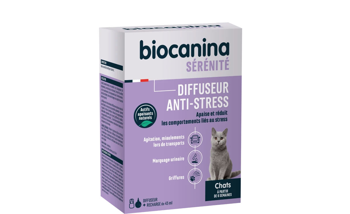 découvrez les meilleurs antibiotiques naturels pour chats en 2025, des solutions efficaces et sans danger pour protéger la santé de votre compagnon félin.