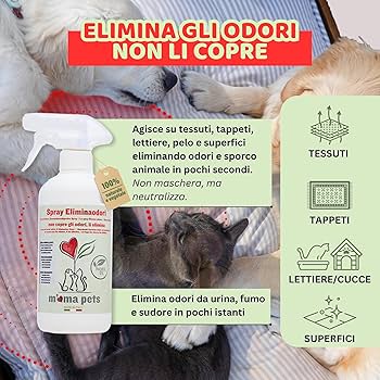 découvrez comment éliminer efficacement les odeurs de votre chien et garder votre maison fraîche grâce à nos conseils et produits adaptés.