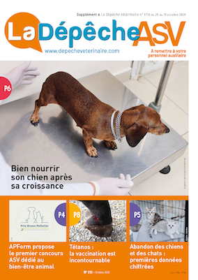 découvrez les meilleurs chondroprotecteurs pour chats en 2025, conçus pour protéger et renforcer les articulations de votre félin, assurant mobilité et bien-être optimal.