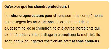 découvrez les bienfaits des chondroprotecteurs pour chiens et nos conseils pour bien choisir en 2025 afin d'améliorer la santé articulaire de votre animal.