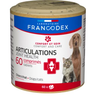 découvrez les causes courantes de la douleur à la patte arrière chez le chien et les solutions efficaces pour soulager votre animal en 2025.