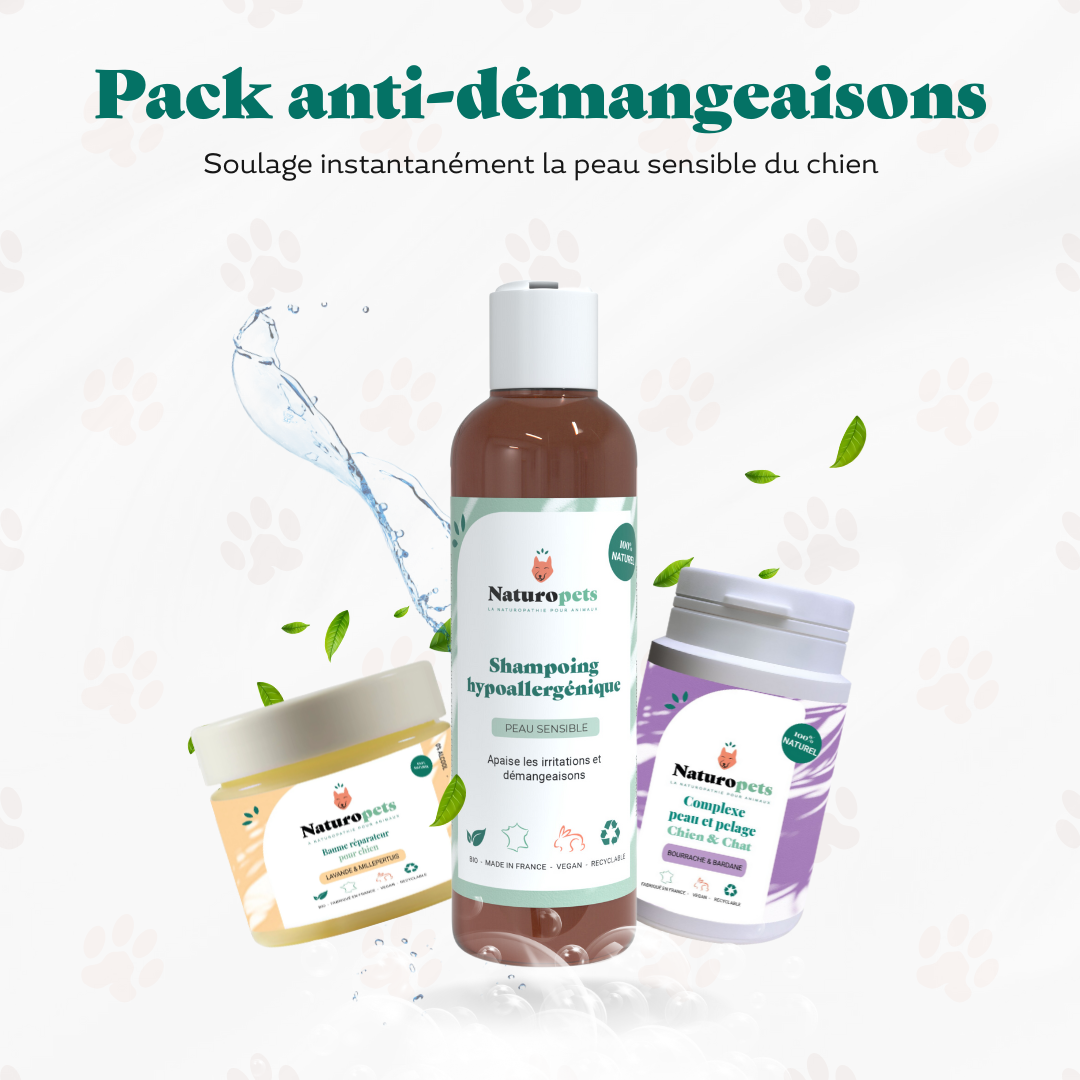 découvrez les traitements efficaces et conseils pratiques pour soulager l'eczéma chez le chien et améliorer le bien-être de votre animal.