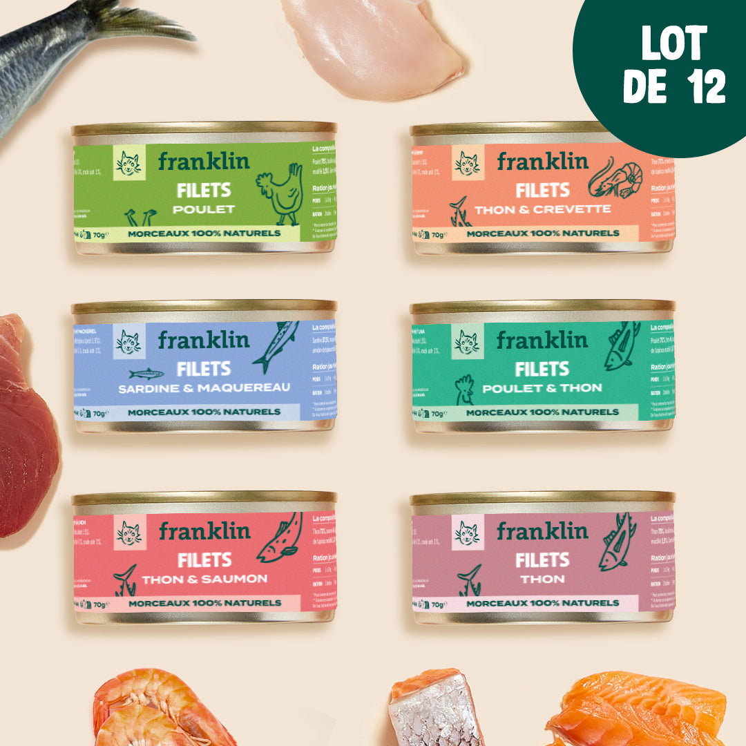 découvrez nos avis et conseils 2025 sur l'harpagophytum pour chien, un remède naturel pour soulager les douleurs articulaires et améliorer le bien-être de votre compagnon.