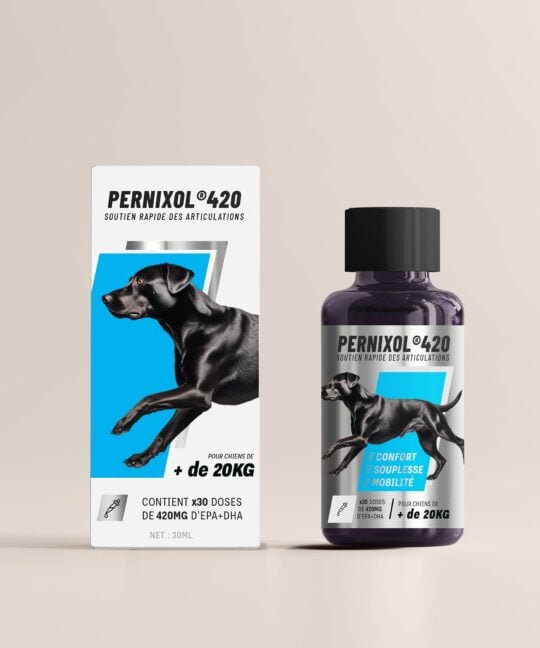 découvrez les bienfaits du msm pour chien en 2025 et apprenez le dosage approprié pour améliorer la santé articulaire de votre compagnon à quatre pattes.