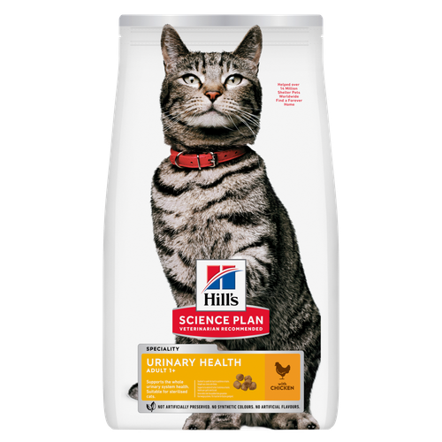 découvrez les causes possibles du sang dans les urines de votre chien et les solutions recommandées en 2025 pour assurer sa santé et son bien-être.