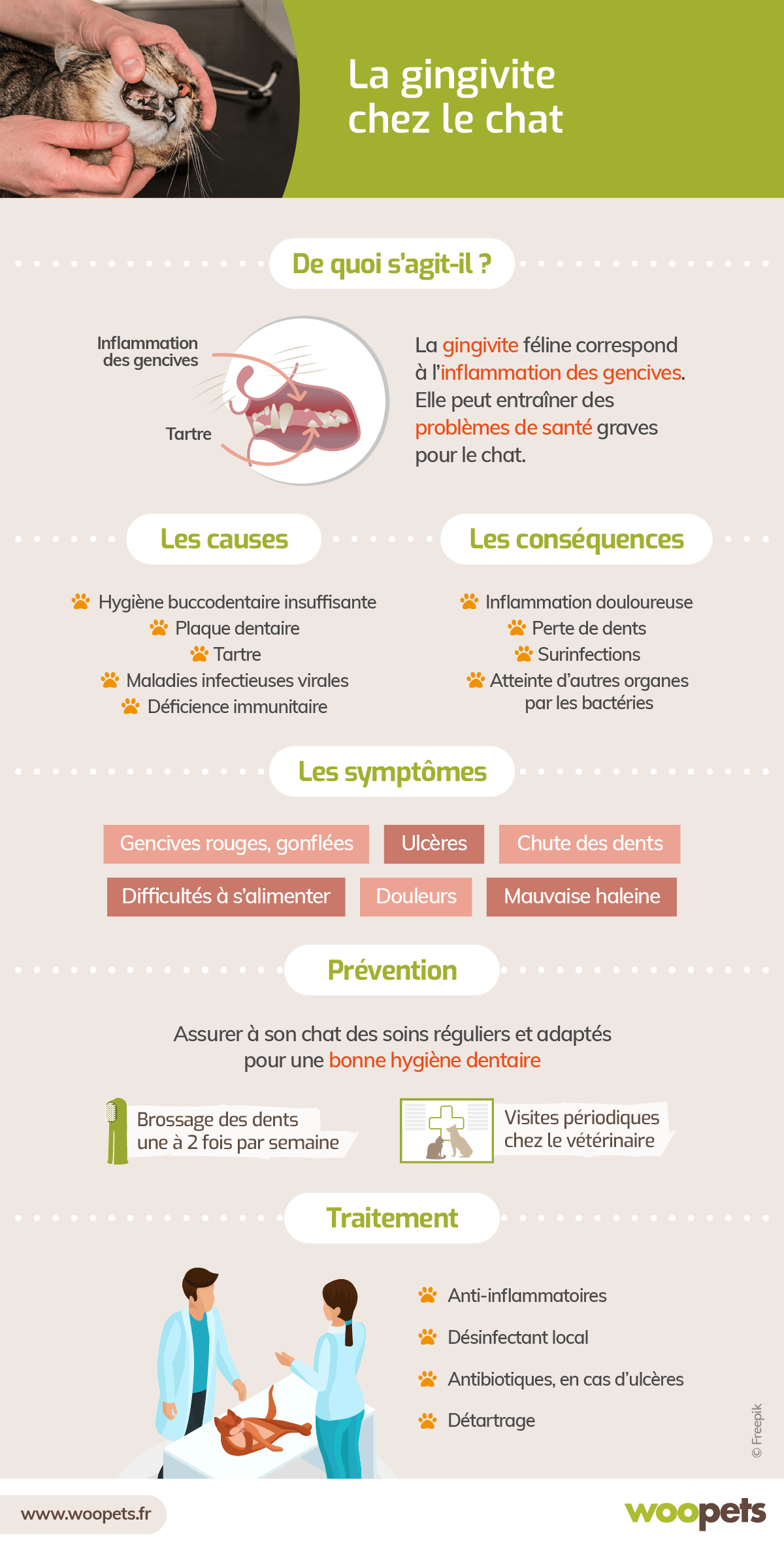 découvrez comment soigner la gingivite chez le chat en 2025 avec des conseils pratiques, des traitements efficaces et des solutions naturelles pour assurer la santé bucco-dentaire de votre félin.