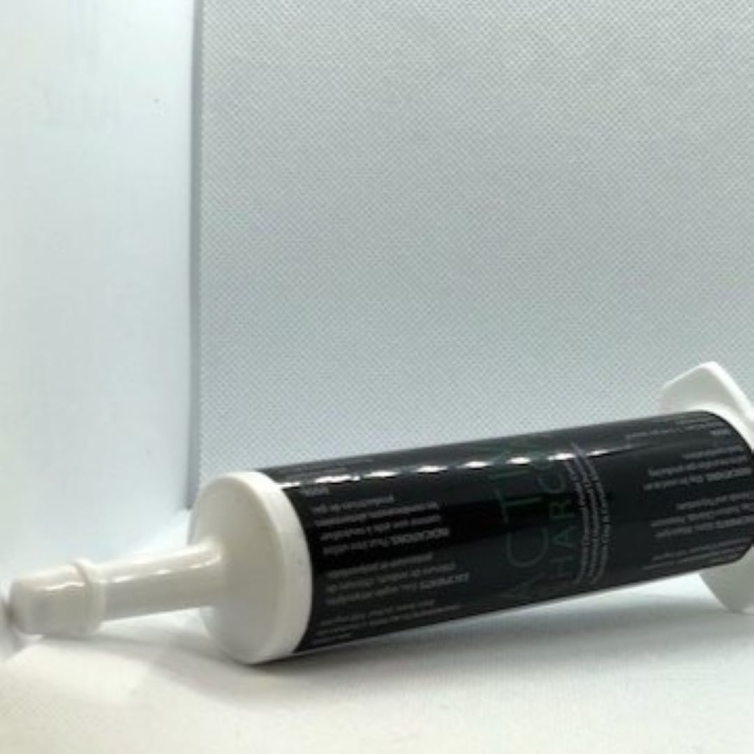 découvrez le charbon actif pour chien en 2025 : un complément naturel efficace pour détoxifier et améliorer la santé digestive de votre compagnon à quatre pattes.