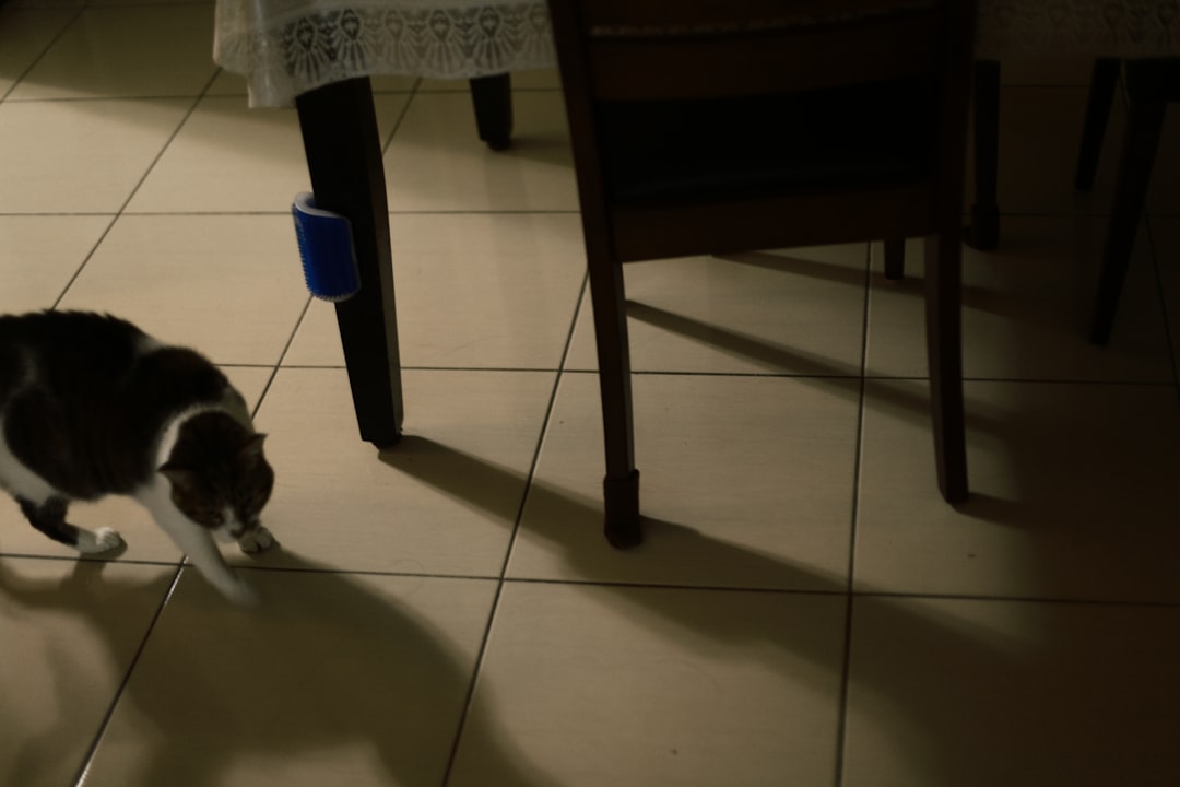 découvrez les causes possibles du sang dans les selles de votre chien, les symptômes à surveiller et les conseils vétérinaires pour assurer la santé de votre animal.