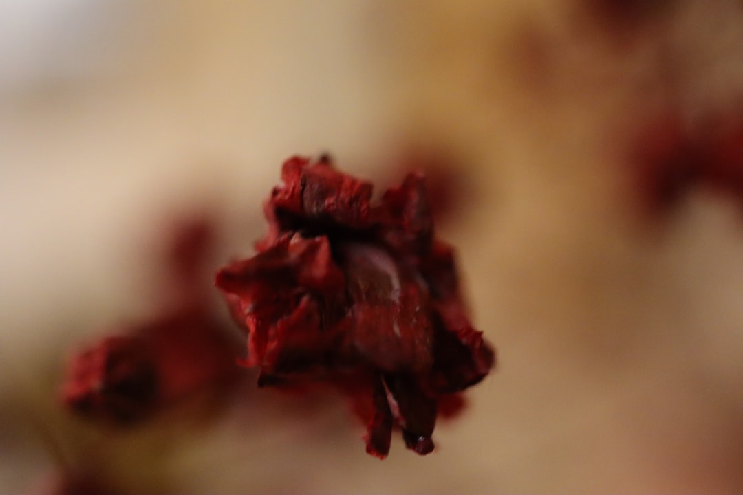 découvrez les causes possibles du sang dans les urines de votre chien, les symptômes associés et les traitements recommandés pour assurer sa santé et son bien-être.