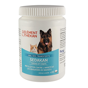 découvrez comment l'homéopathie peut soulager les gargouillis chez votre chien grâce à des remèdes naturels et adaptés.