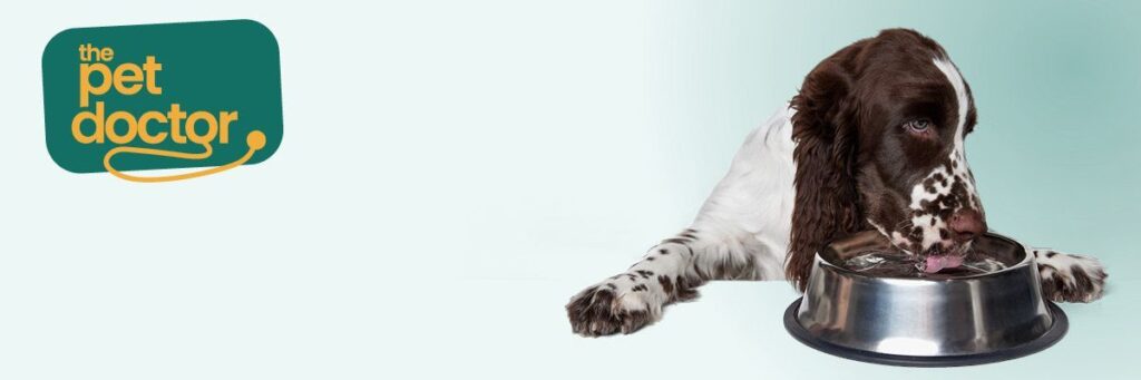 découvrez les causes possibles de l'urine rouge chez le chien et obtenez des conseils pratiques pour agir rapidement et assurer la santé de votre animal.